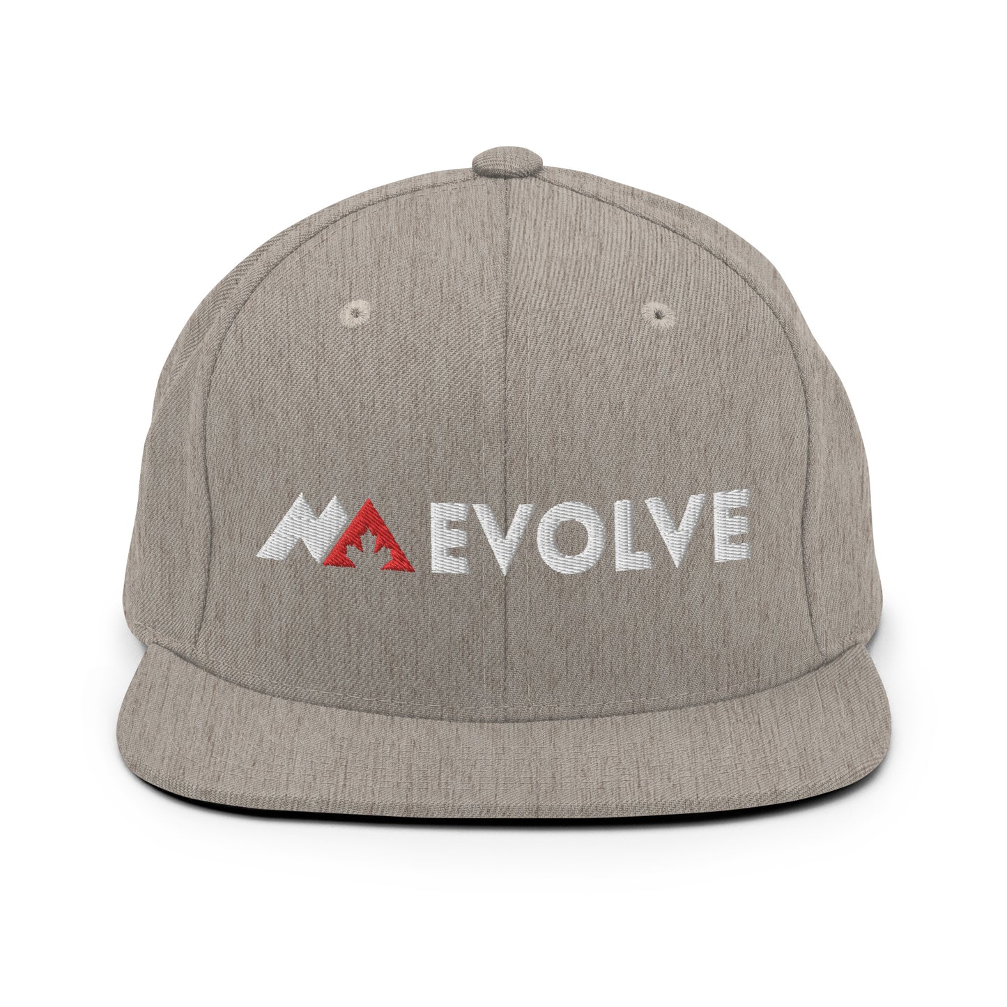 Evolve Snapback Hat