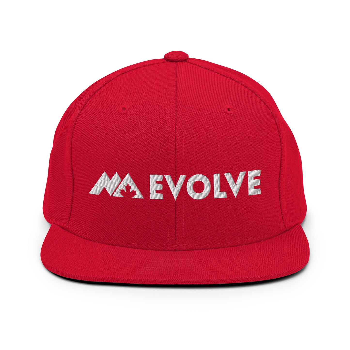 Evolve Snapback Hat