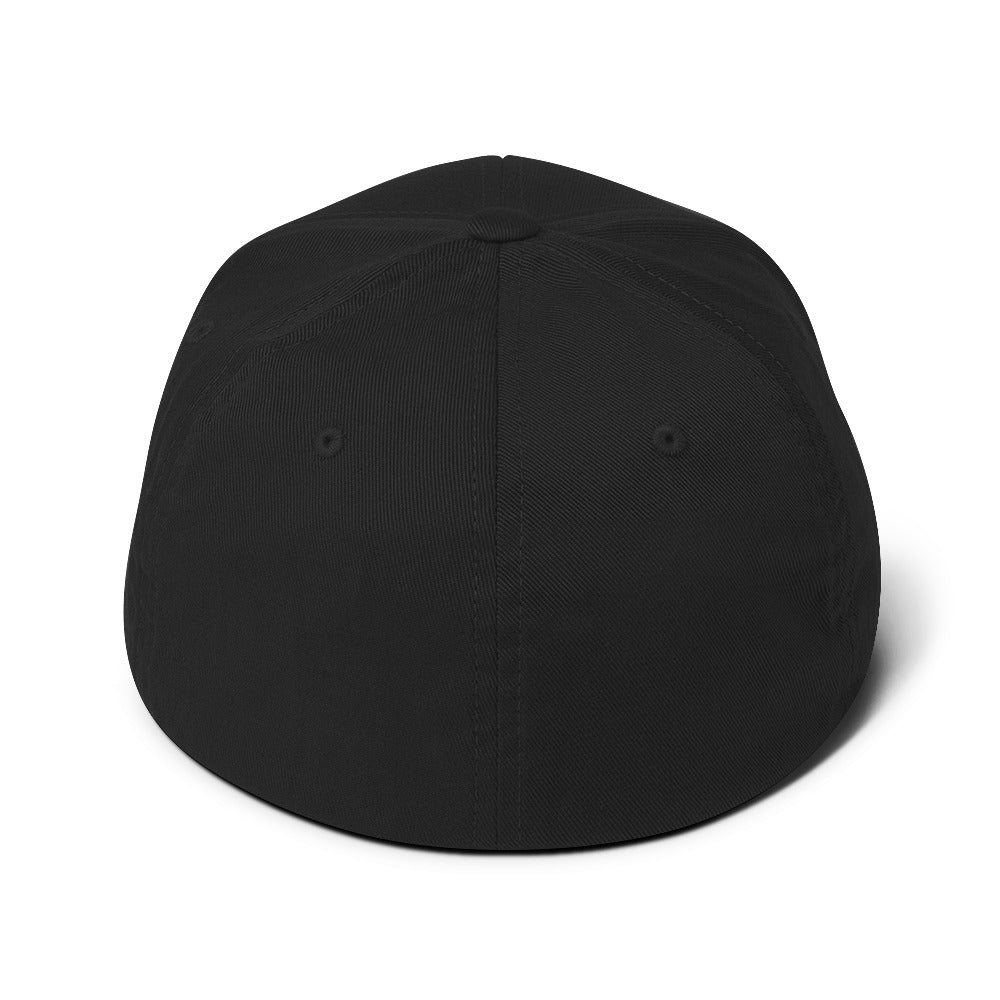 Evolve Flex-fit Hat