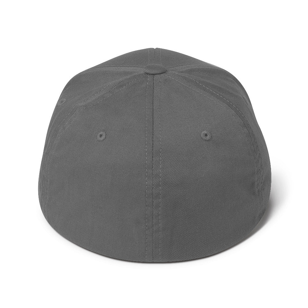 Evolve Flex-fit Hat
